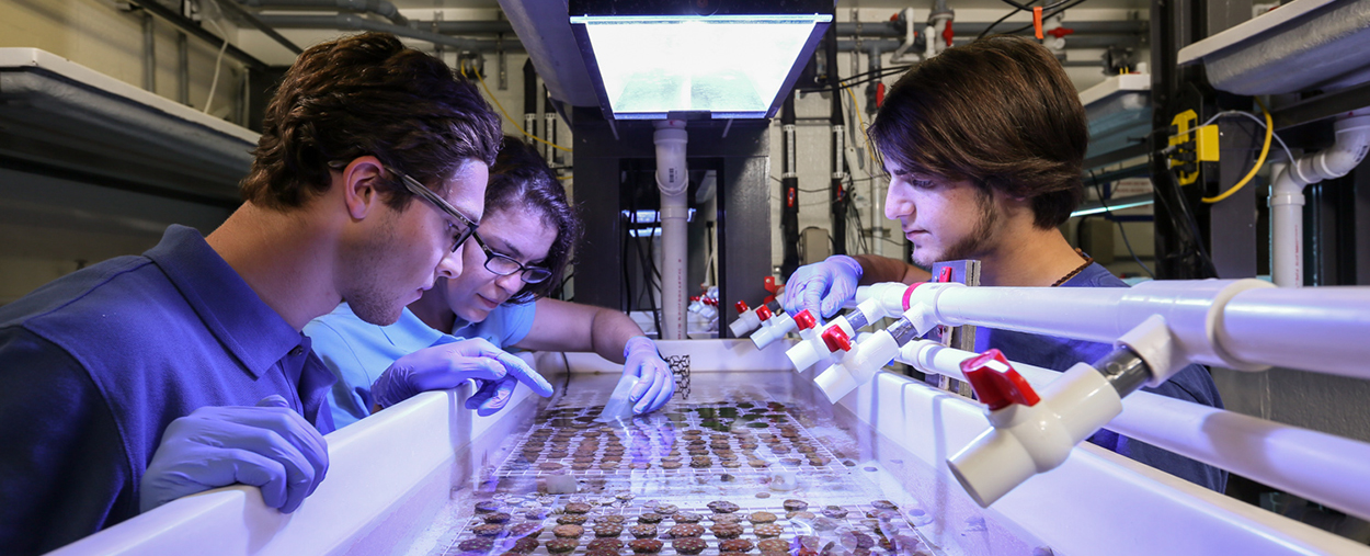 Graduate Students